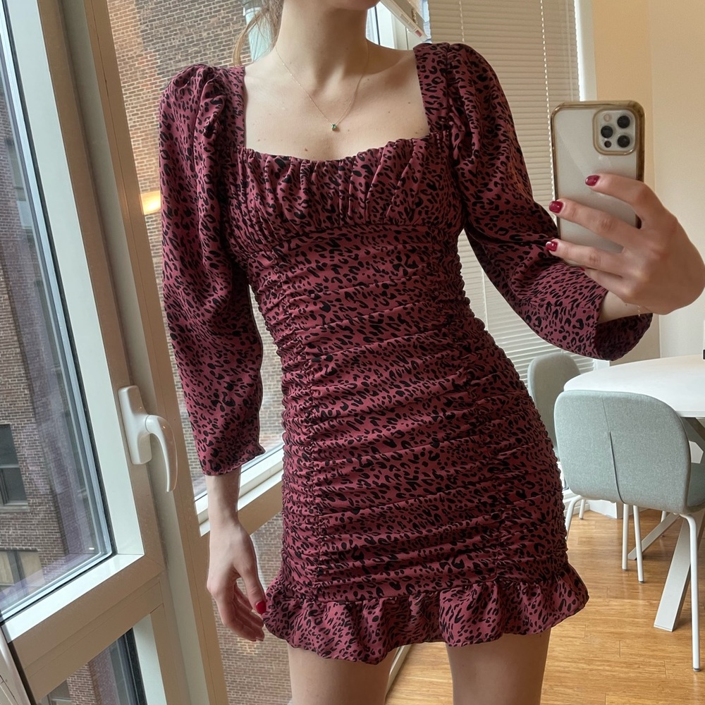 Animal Print Pink Mini Zara Dress (XS)